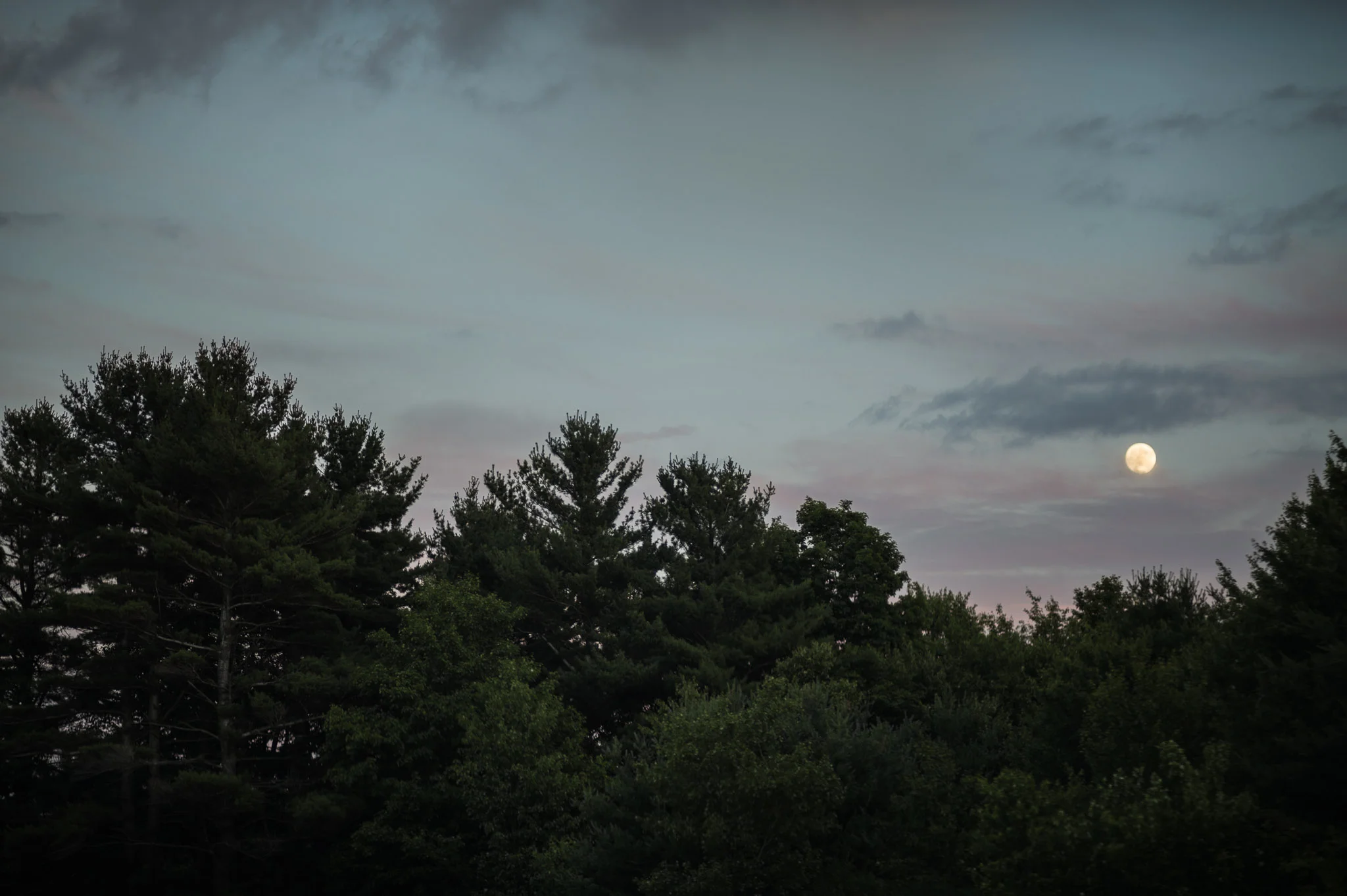 2016-07-18-moon-jjeziorski-web-2.jpg