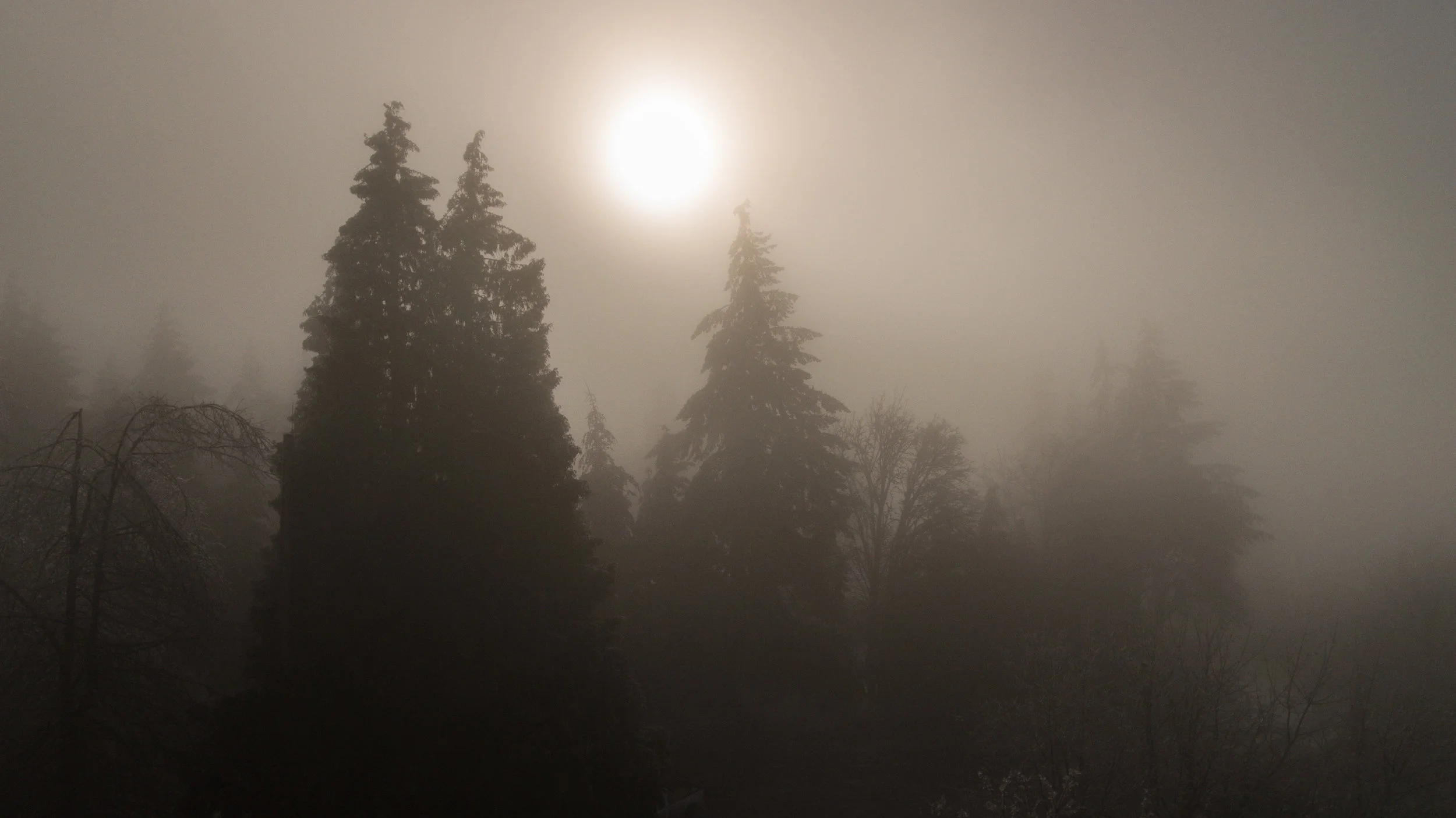 2016-12-10-rocky-butte-jjeziorski-web-01.jpg