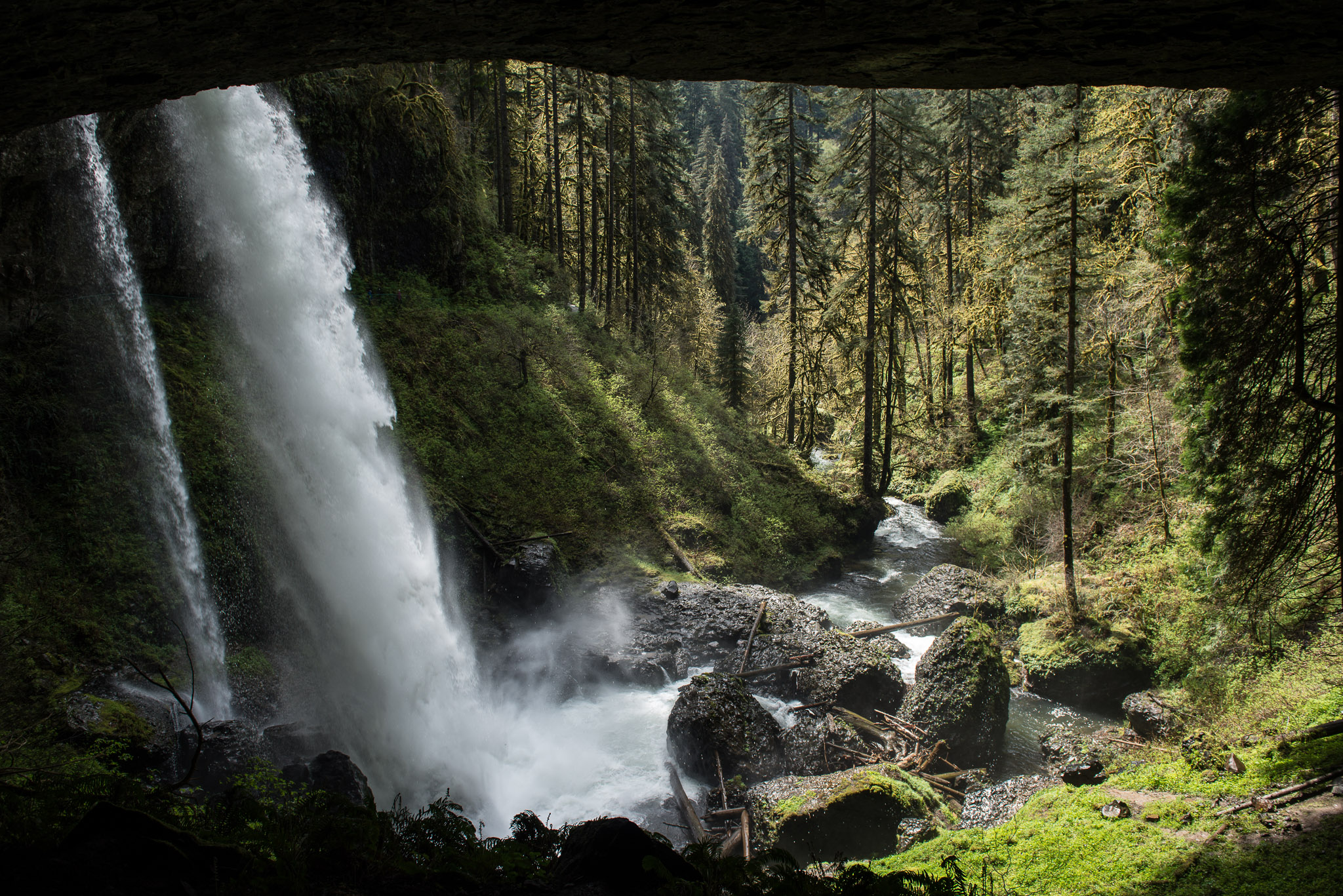 2017-04-30-silver-falls-jjeziorski-web-011.jpg