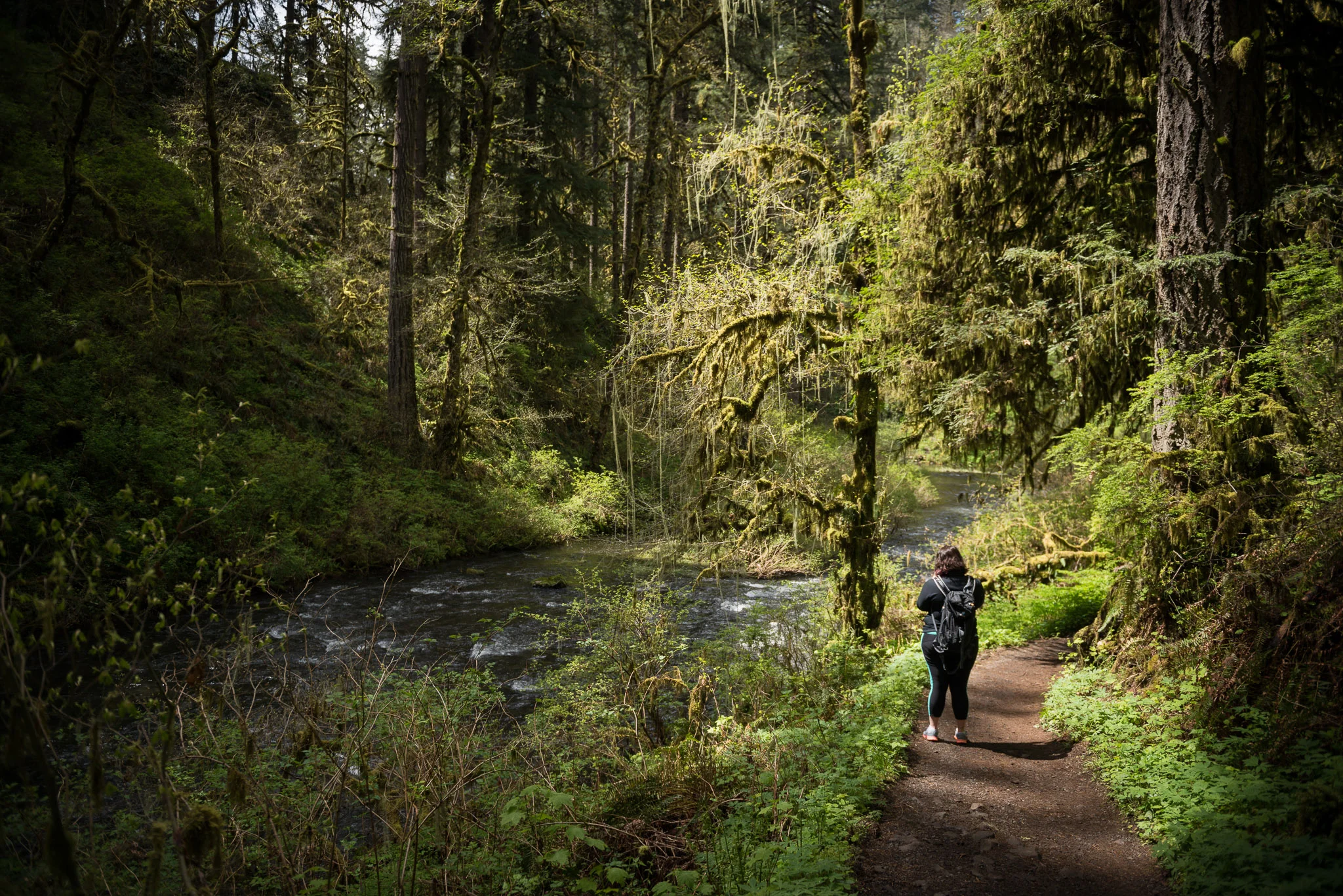 2017-04-30-silver-falls-jjeziorski-web-013.jpg