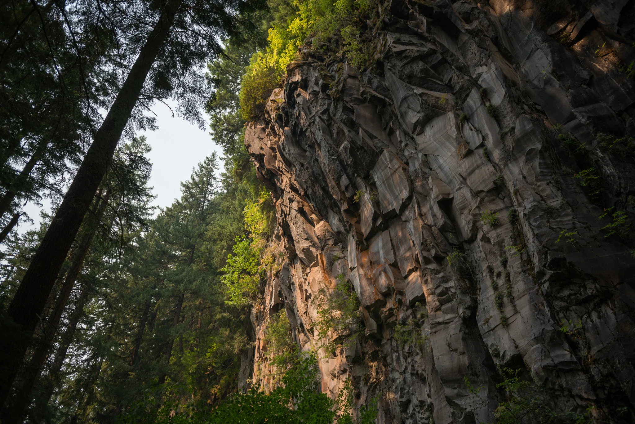 2017-09-04-jjeziorski-ramona-falls-web-003.jpg