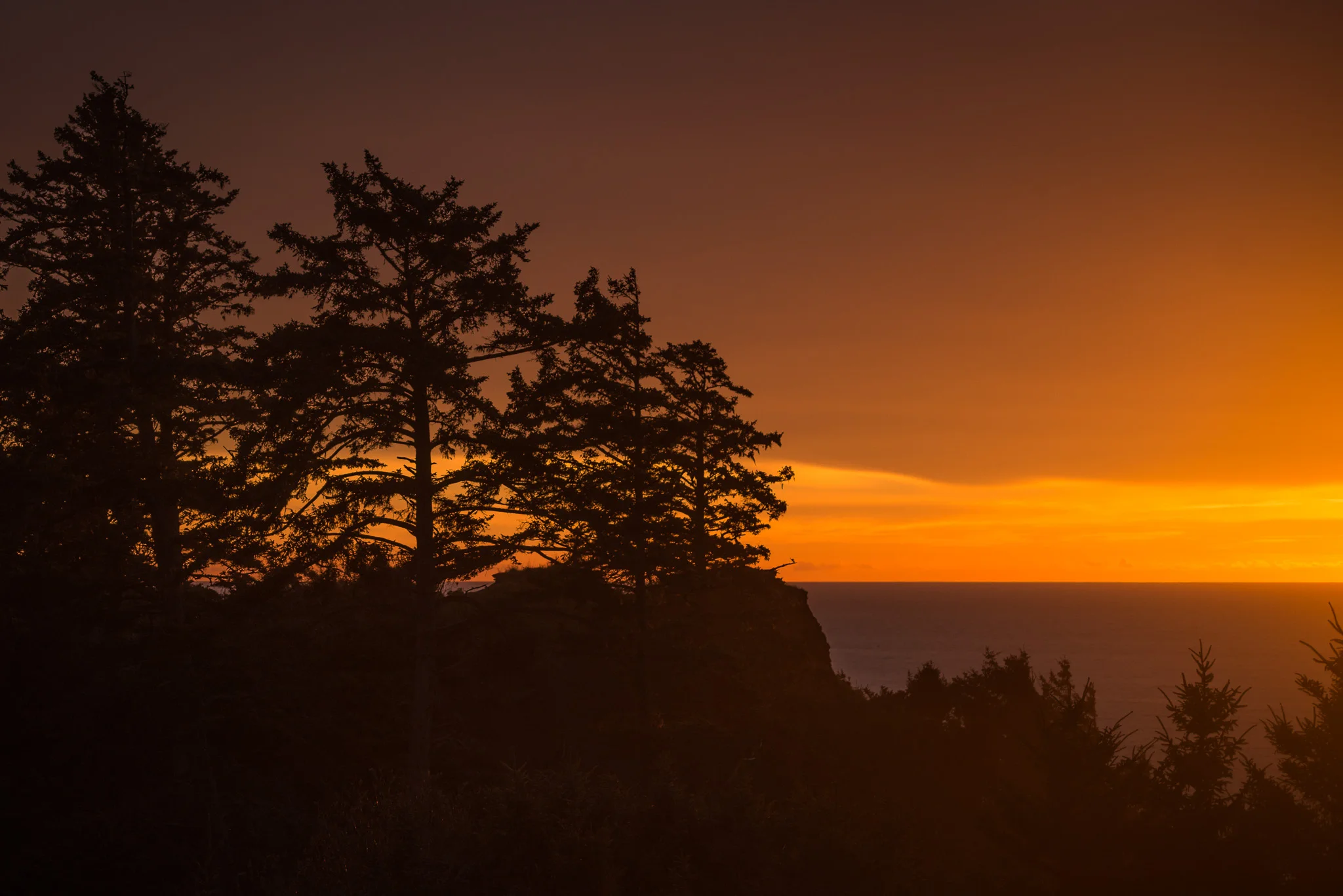 2017-11-18-Ecola-State-Park-Jeremy-Jeziorski-web-008.jpg