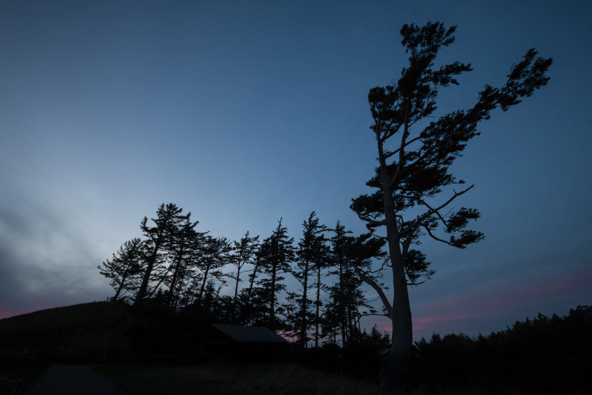 2017-11-18-Ecola-State-Park-Jeremy-Jeziorski-web-012.jpg