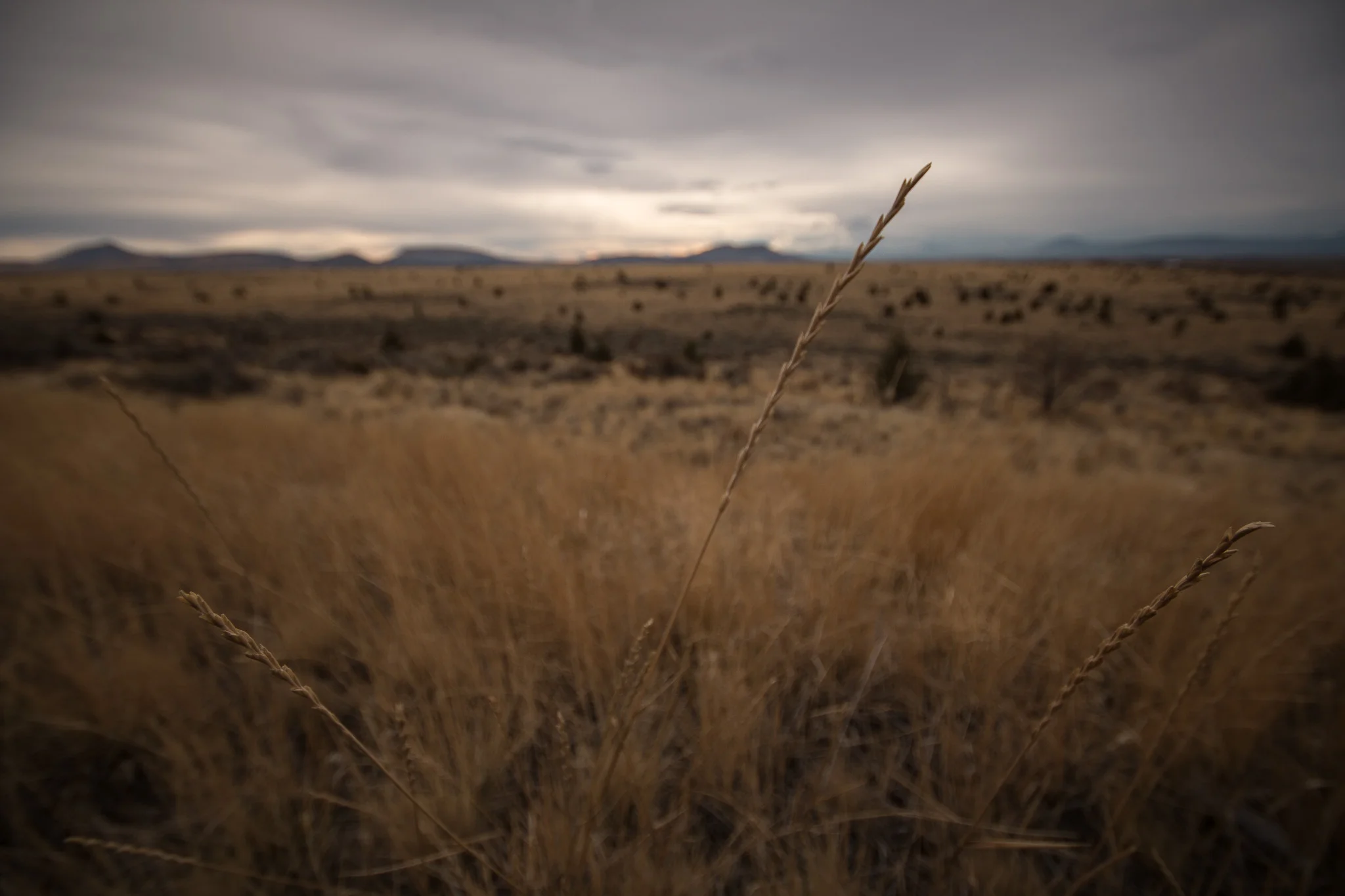 2017-11-25-Central-Oregon-Jeremy-Jeziorski-web-013.jpg
