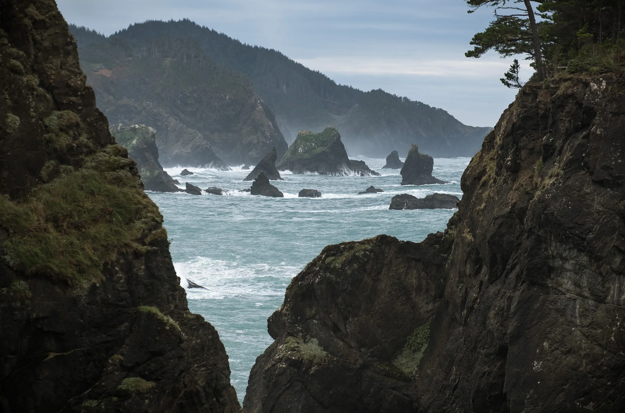2018-01-03-Natural-Bridges-prelim-web-JJeziorski-006.jpg