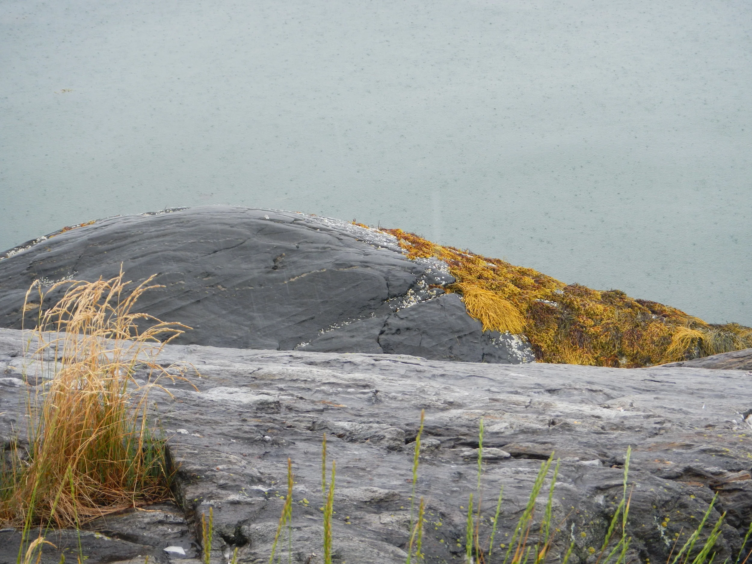 boulder, Harpswell, Maine (photo: Mimi Stadler 2013)