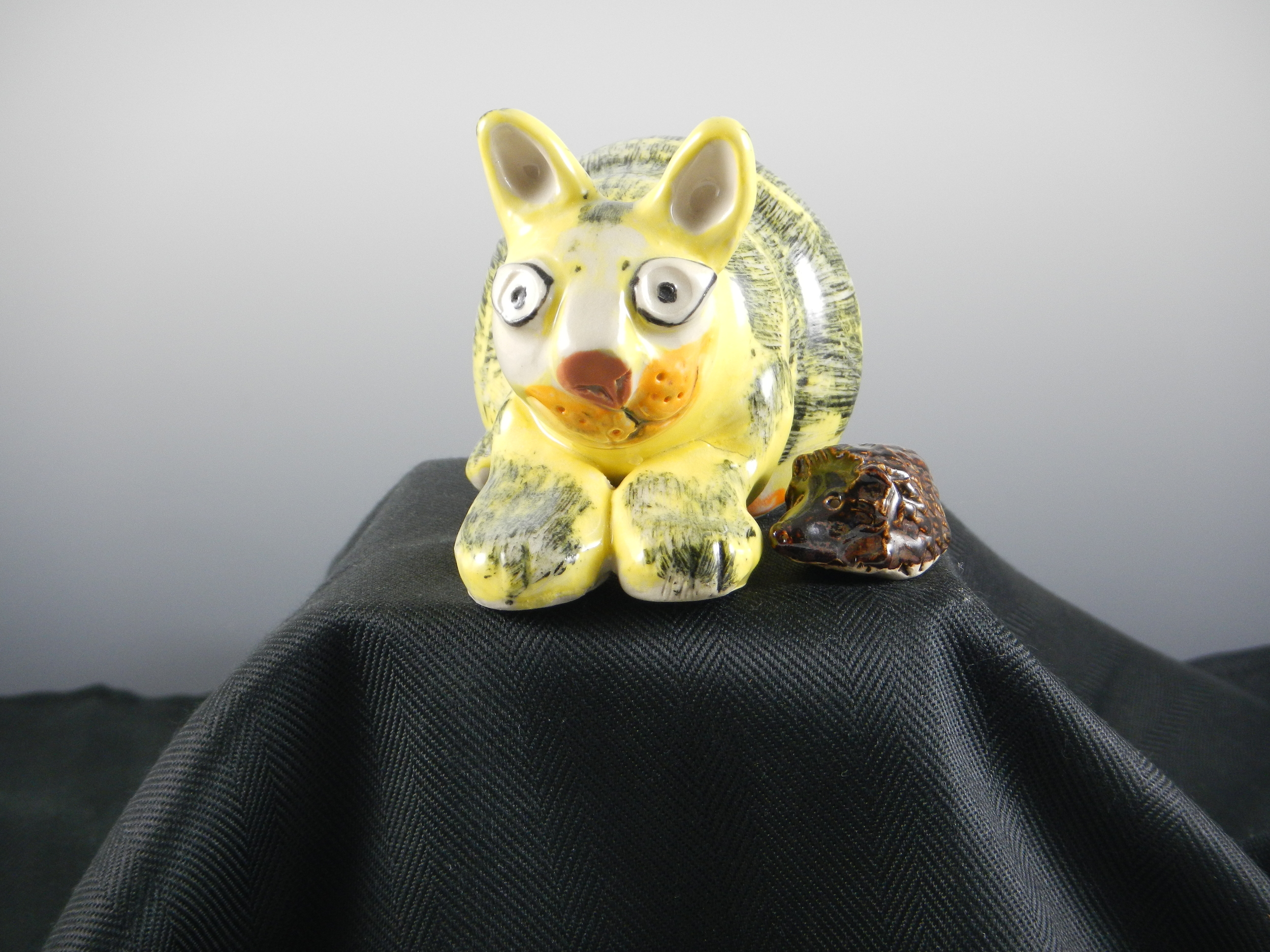 catyellow2.JPG