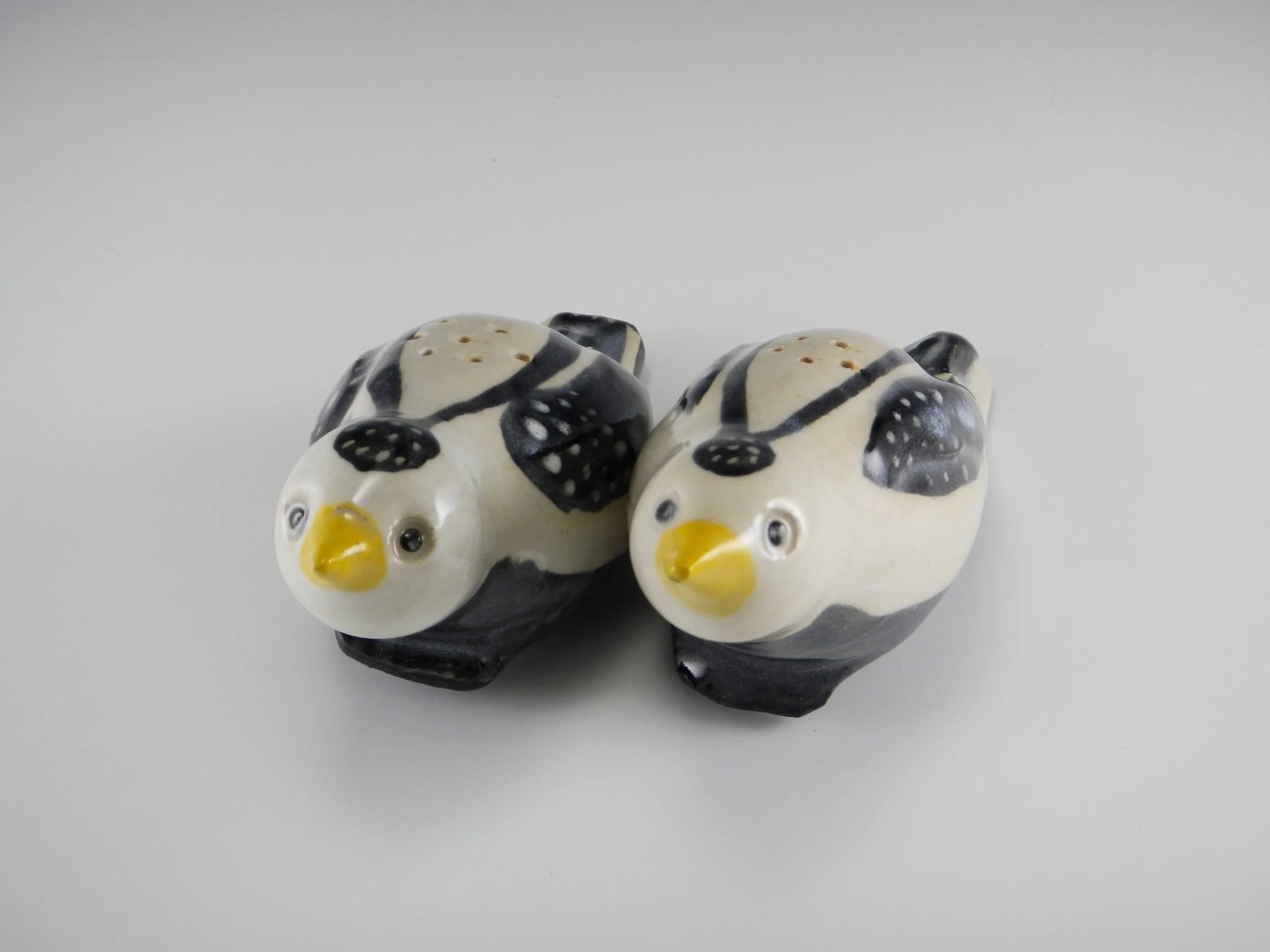DSCN8937.jpg