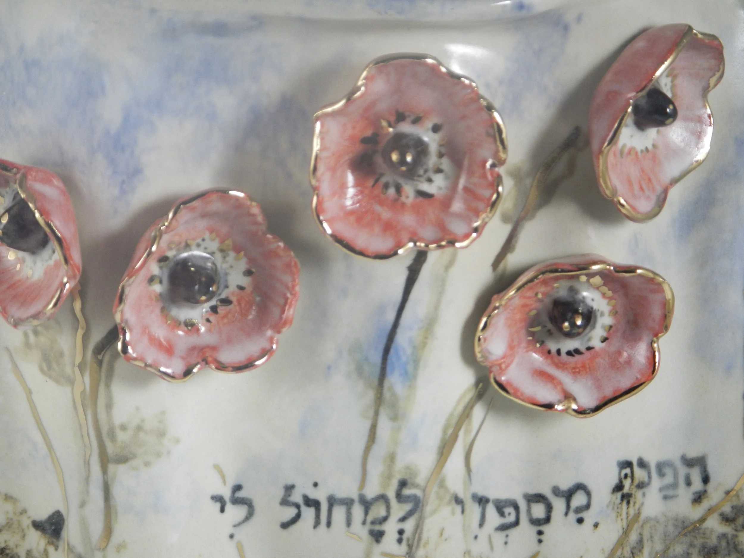 DSCN2693.JPG