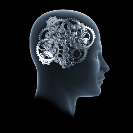 iStock_000013901145Small.jpg