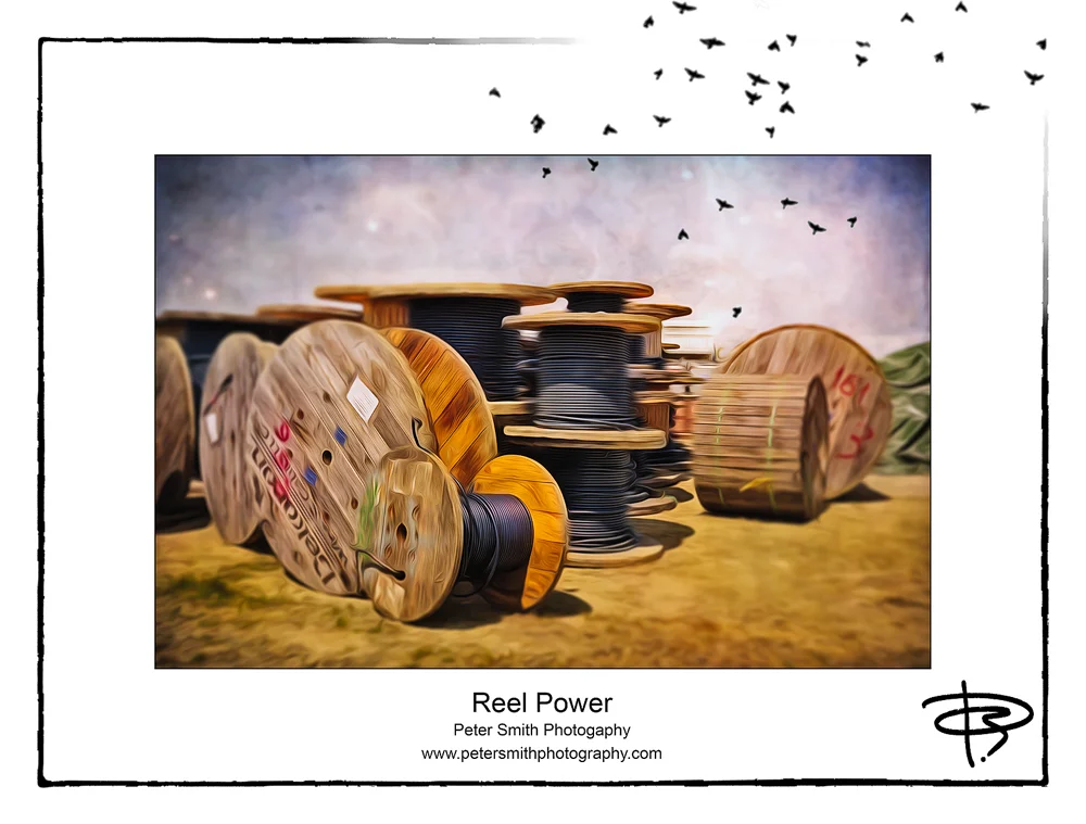 Number 17, 2014, 'Reel Power'