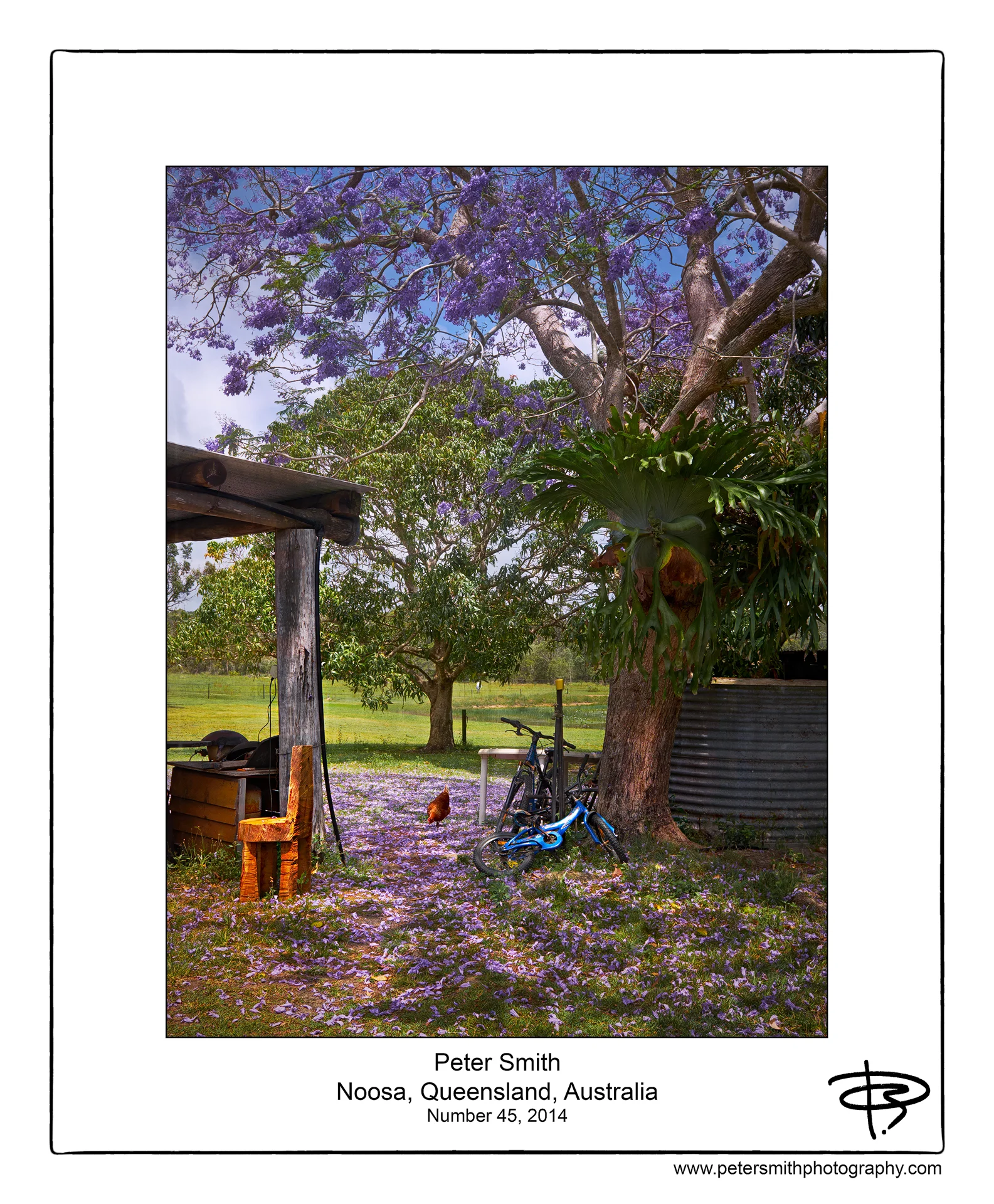 Number 45 2014 Noosa.jpeg