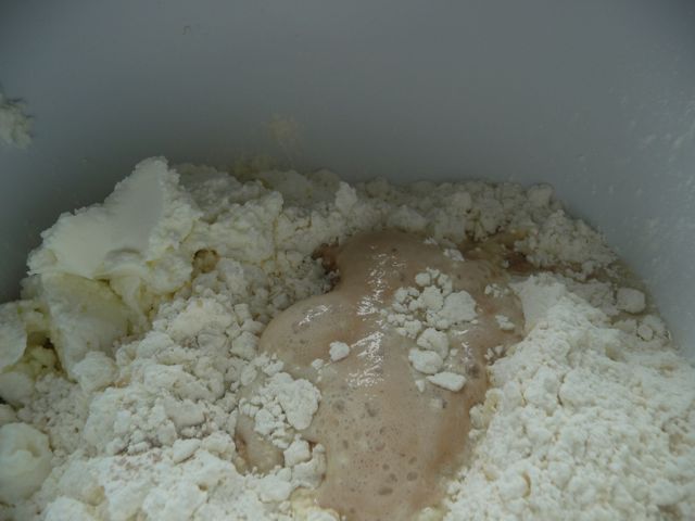 Schwäbischer Zwiebelkuchen