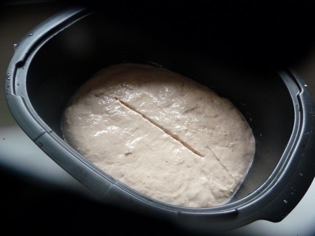 Kastanien-Walnussbrot aus dem Tupper Ultra