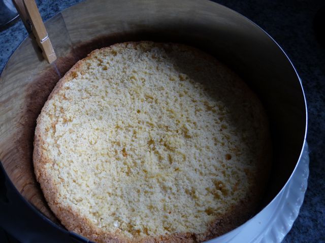 Leichter Apfelkuchen