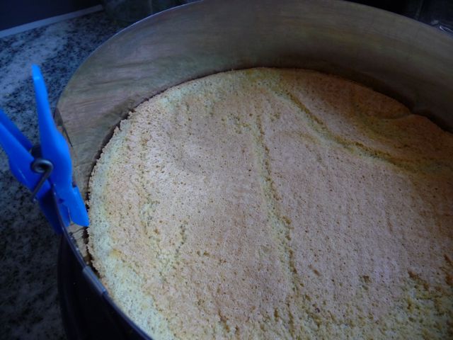 Joghurt Weintorte