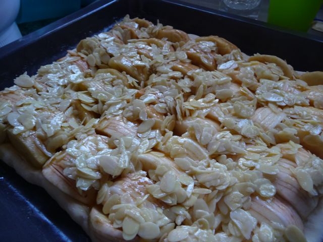 Apfelkuchen mit Mandel-Honigkruste