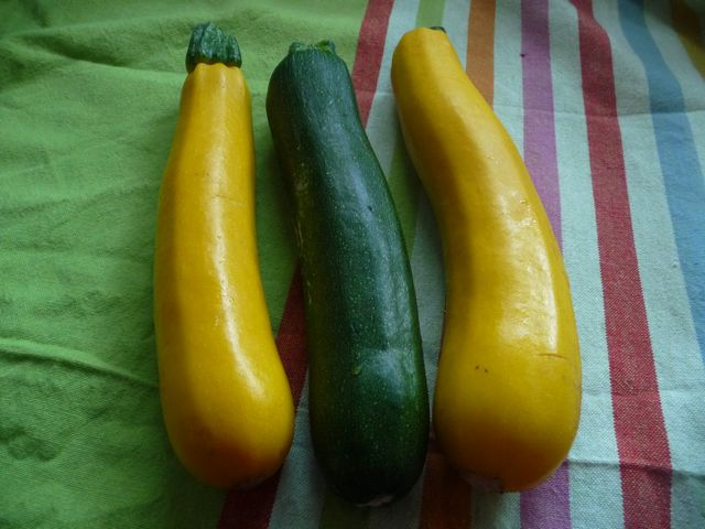 Gefüllte Zucchini