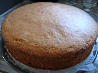 Spanische Vanilletorte