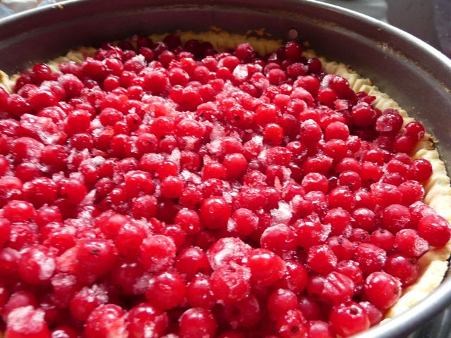 Saftiger Johannisbeerkuchen