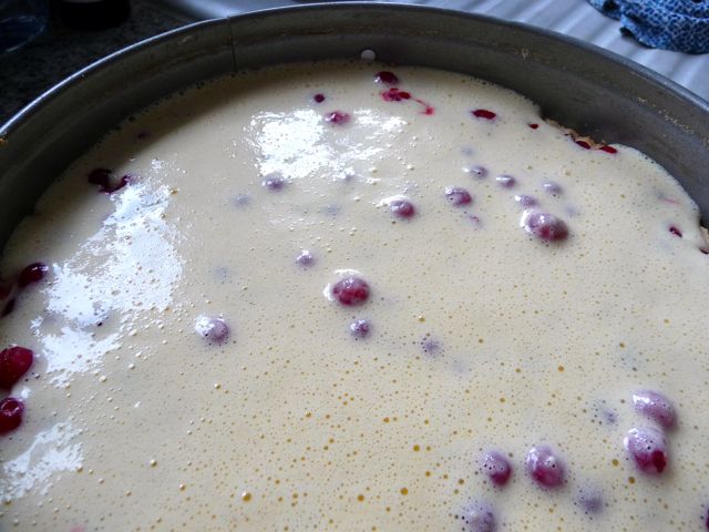Saftiger Johannisbeerkuchen
