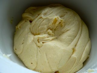 Apfelschnecken