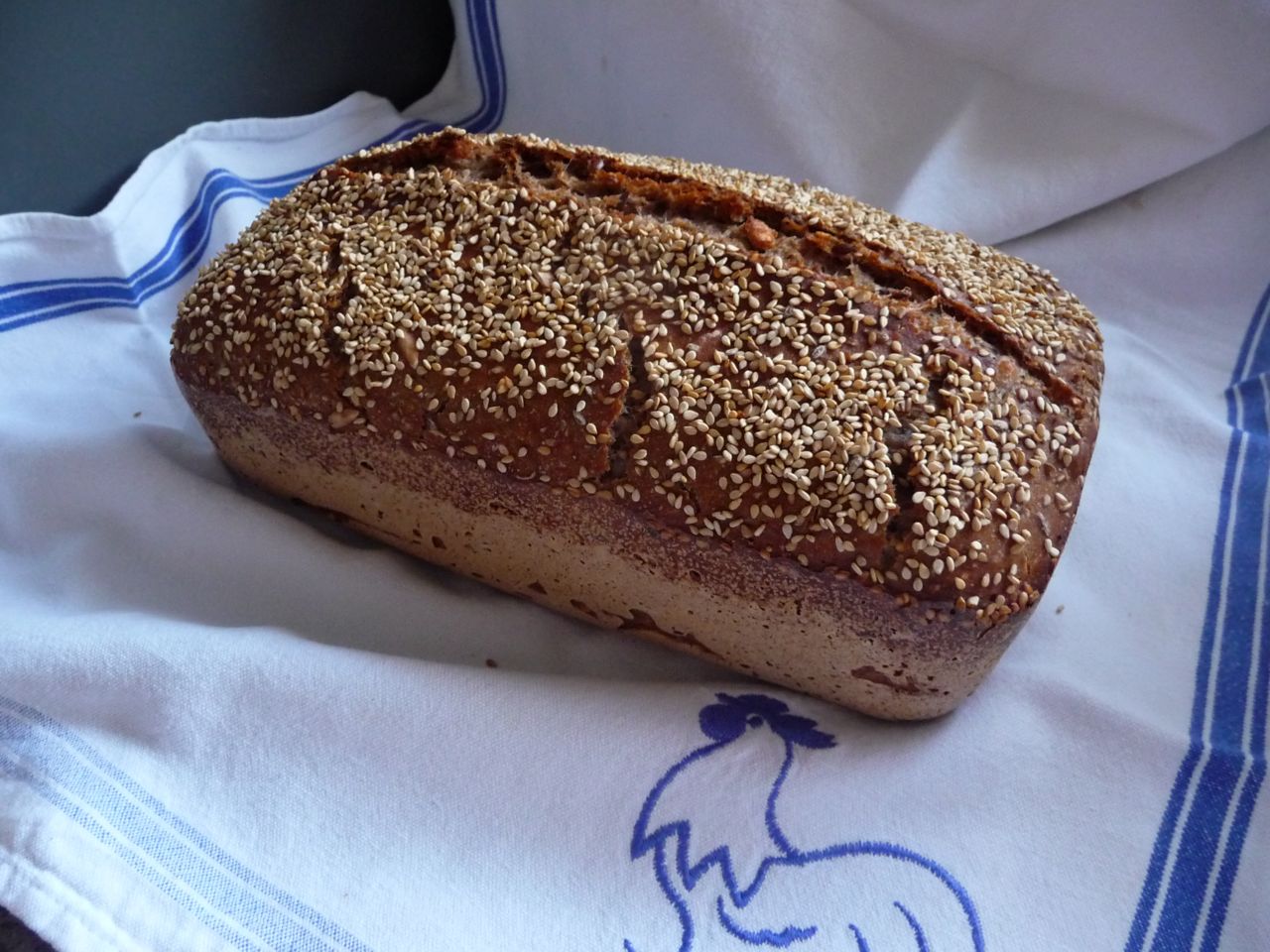 Teffsauerteig 6.jpg