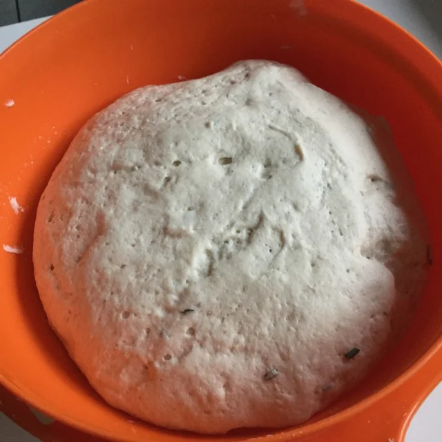 So sieht der gegangenen Teig aus. Jetzt kann er weiterverarbeitet werden z.B. zu Pizza.