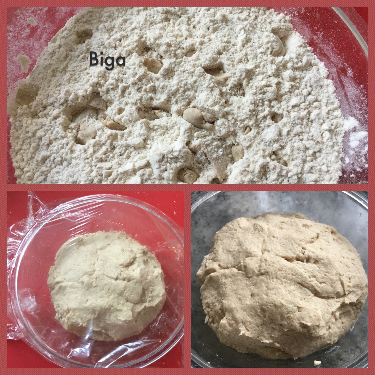 Biga - 1.jpg