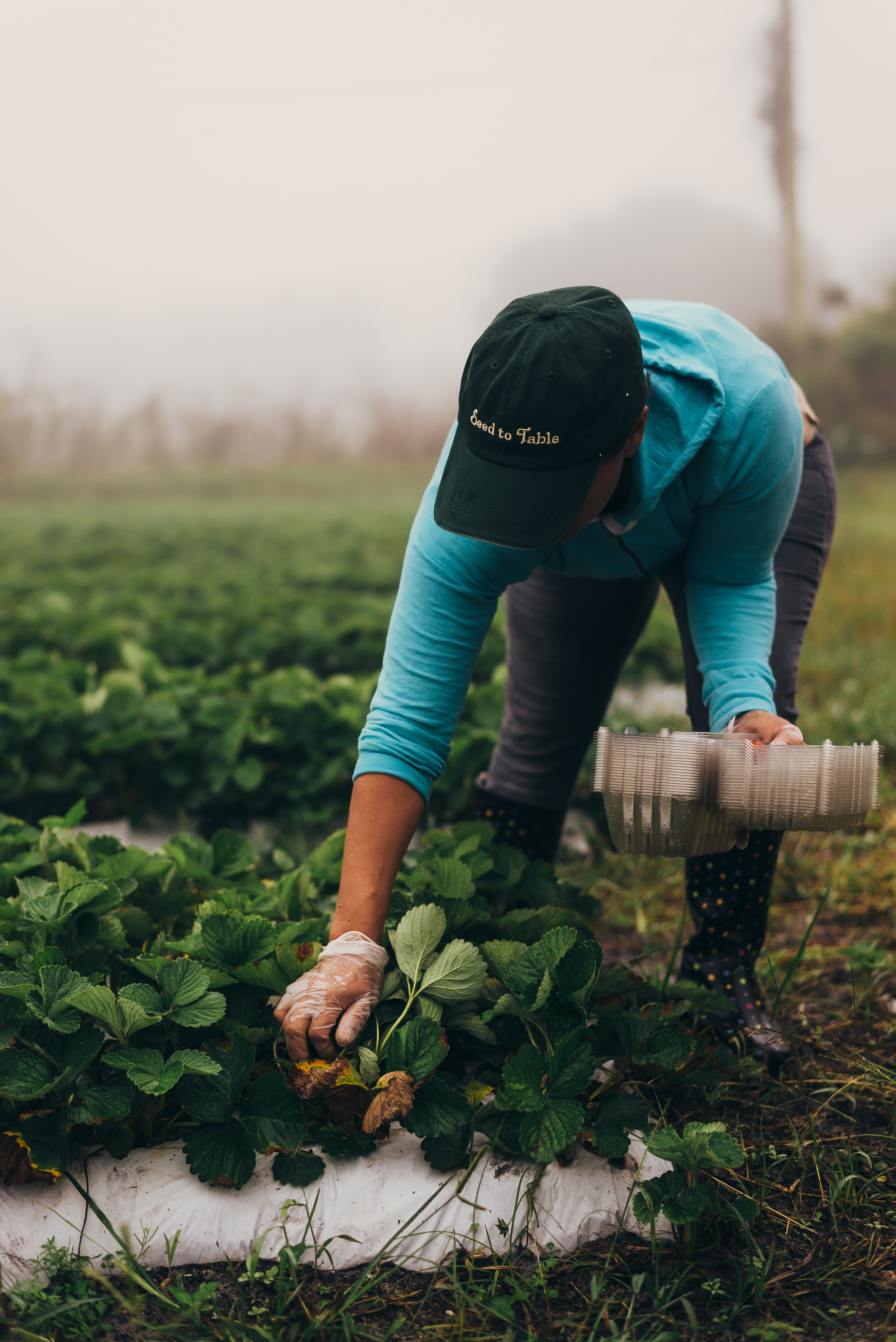  The reason why I chose this photograph in my best of is because it resonates with the root of where my family comes from. My parents where migrant field workers when their came to this country. It's because of their initial sacrifice that I am able to do what I love to do today. Thank you Mom & Dad, I love you.   