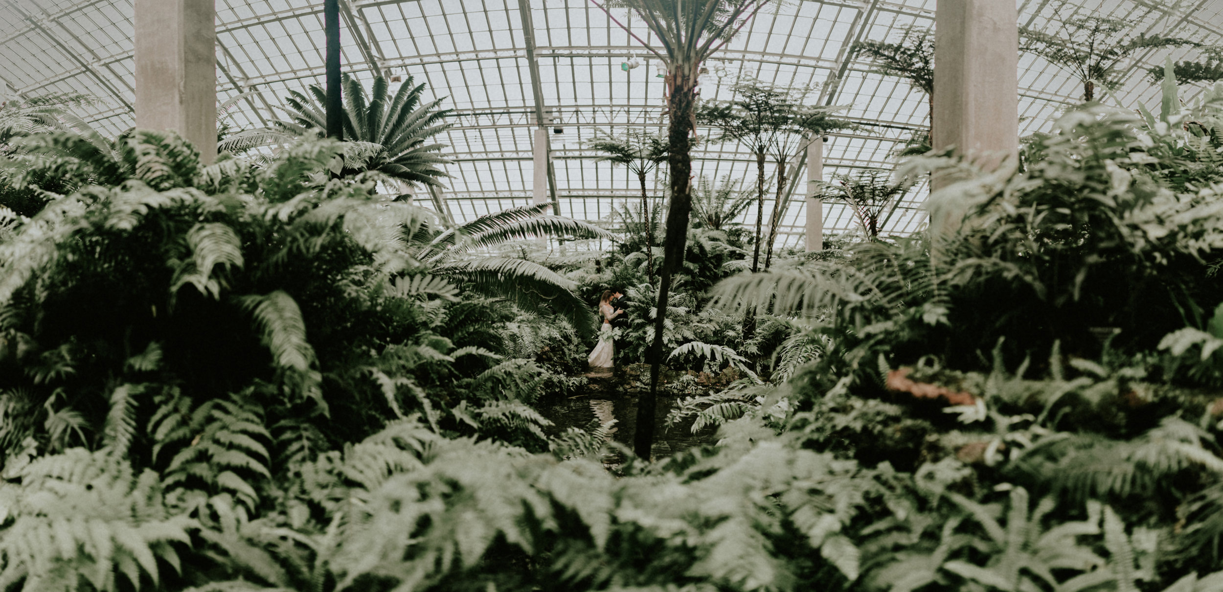  Jason & Andrea Shipbaugh in Garfield Park Conservatory doing redoing their Bride & Groom Portraits - This photograph what you don't see is the snow that was falling just outside of this place. Truly one of my favorite places in Chicago. 