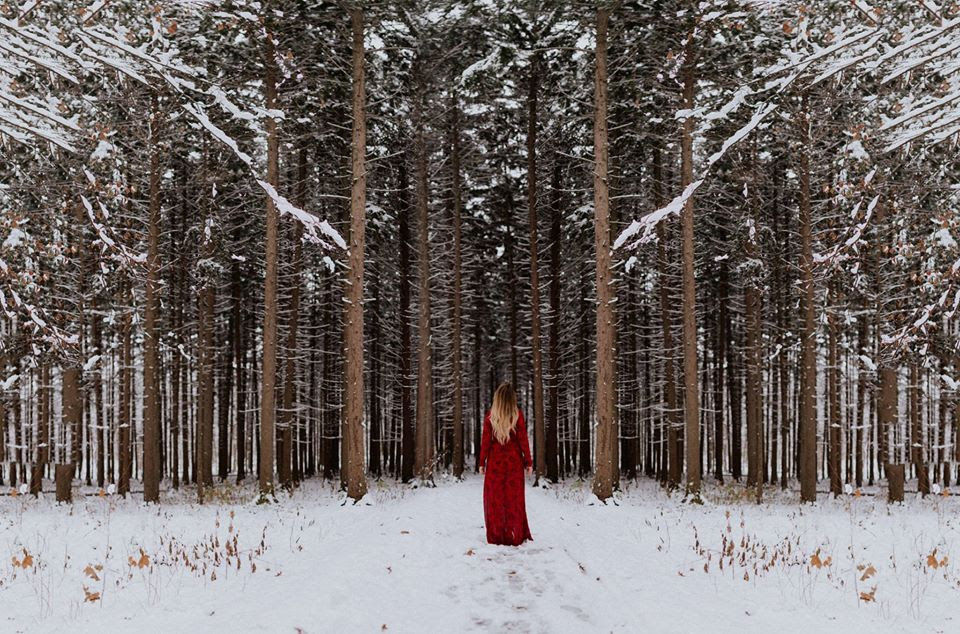  Andrea Shipbaugh - The Morton Arboretum - One of my favorites only got 130 Likes 