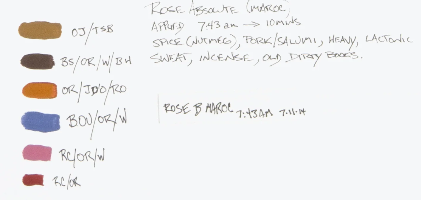 Rose Maroc_detail.jpg
