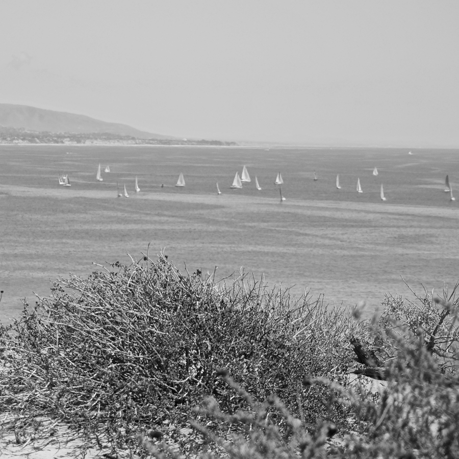 black and white headlands2.jpg