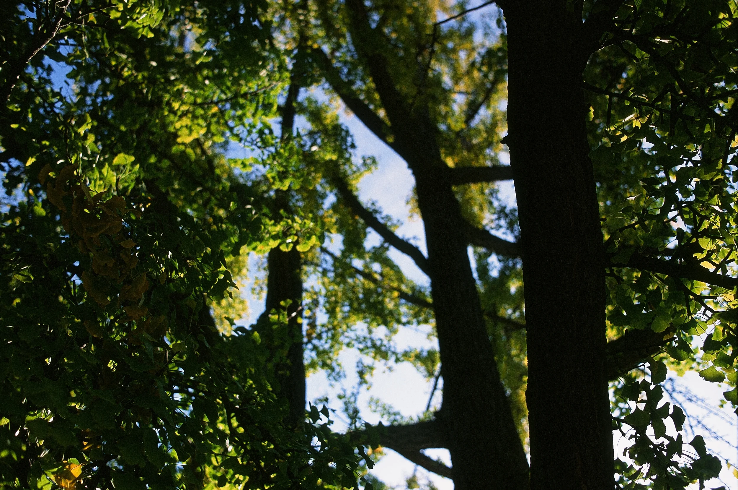 6774997798_6a02e9585d_o.jpg