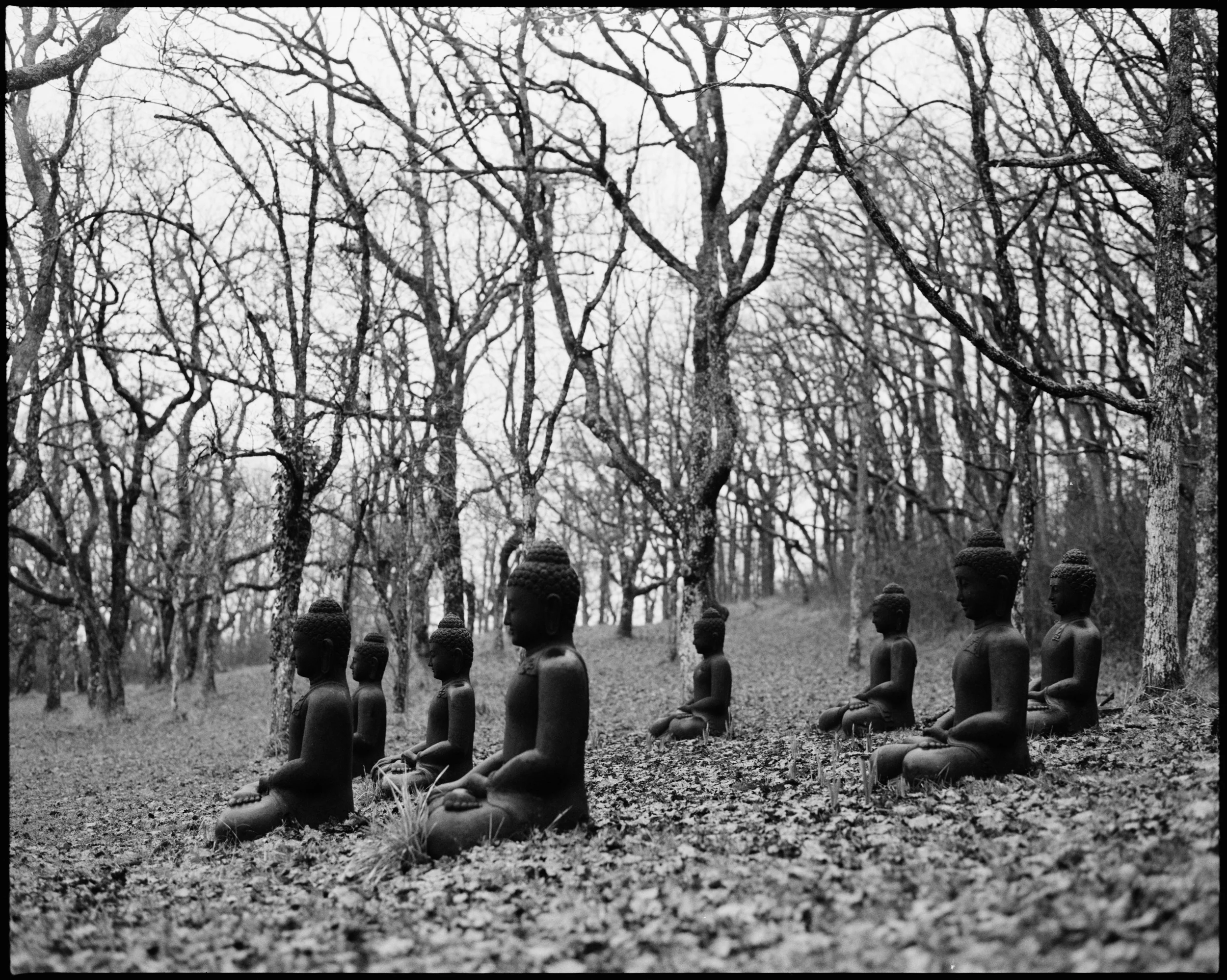 R06_08_Walk About Buddhas.jpg