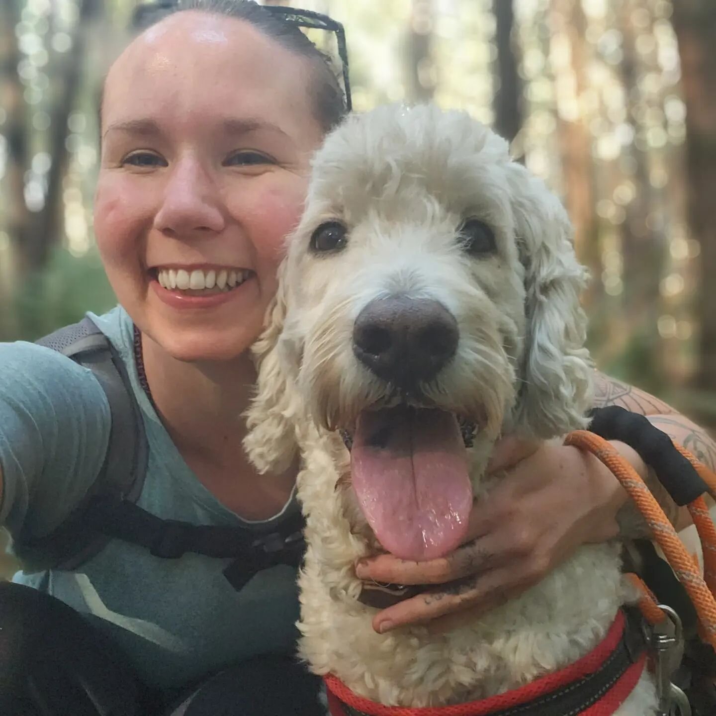 Some Mac summer pictures and a bonus puppy photo from 6 years ago 😍❤️

#goldendoodle