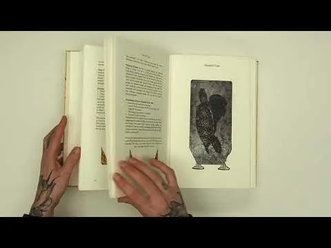 Tarot for the Misguided