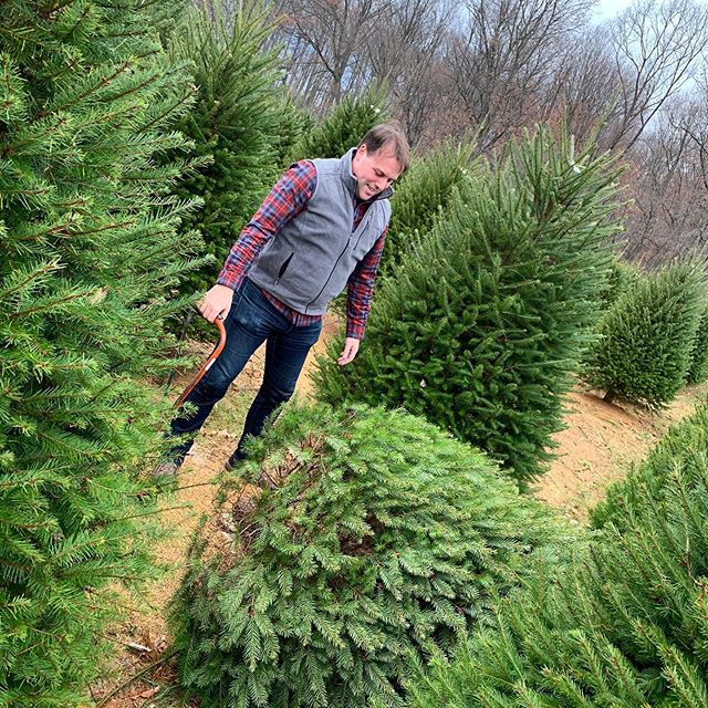Man vs Tree