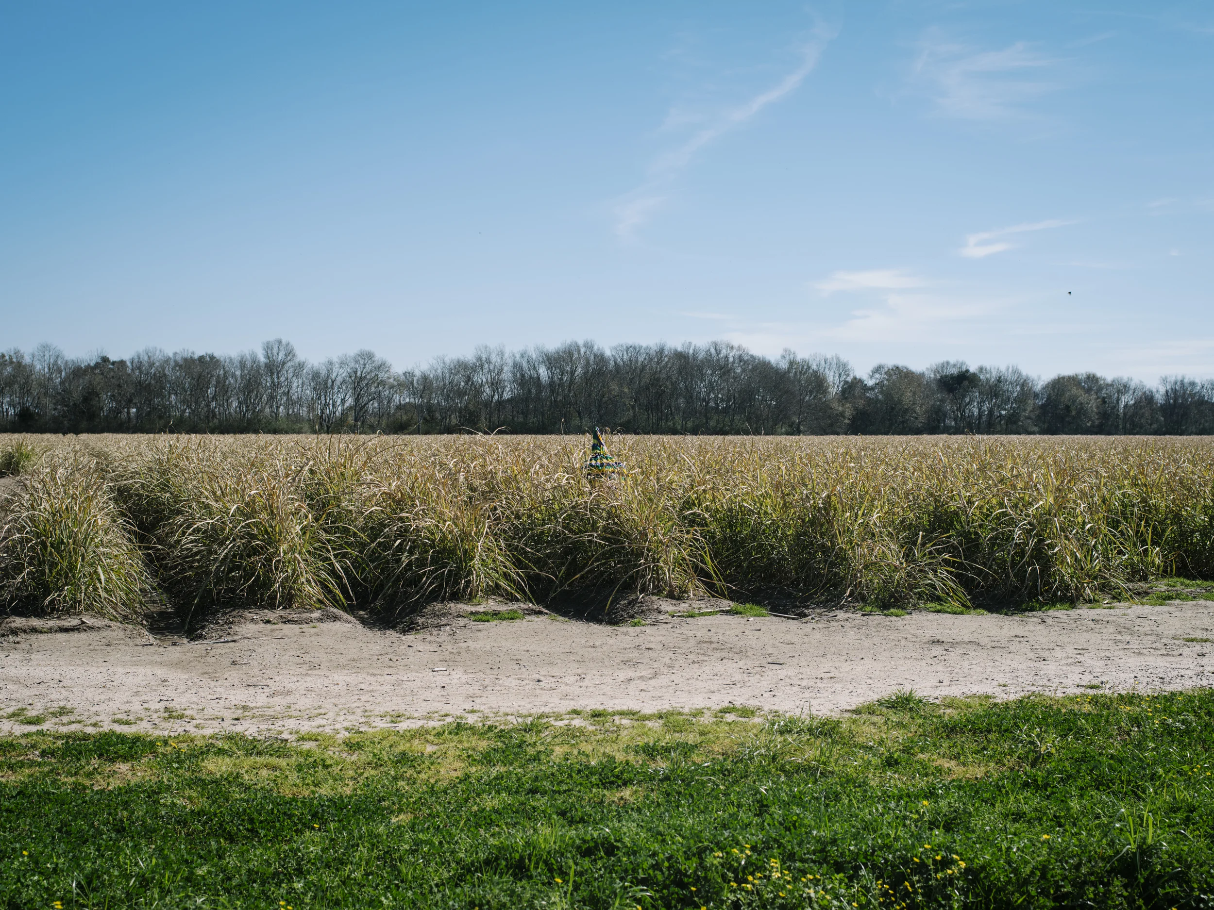 Courir_de_Mardi_Gras-15.jpg