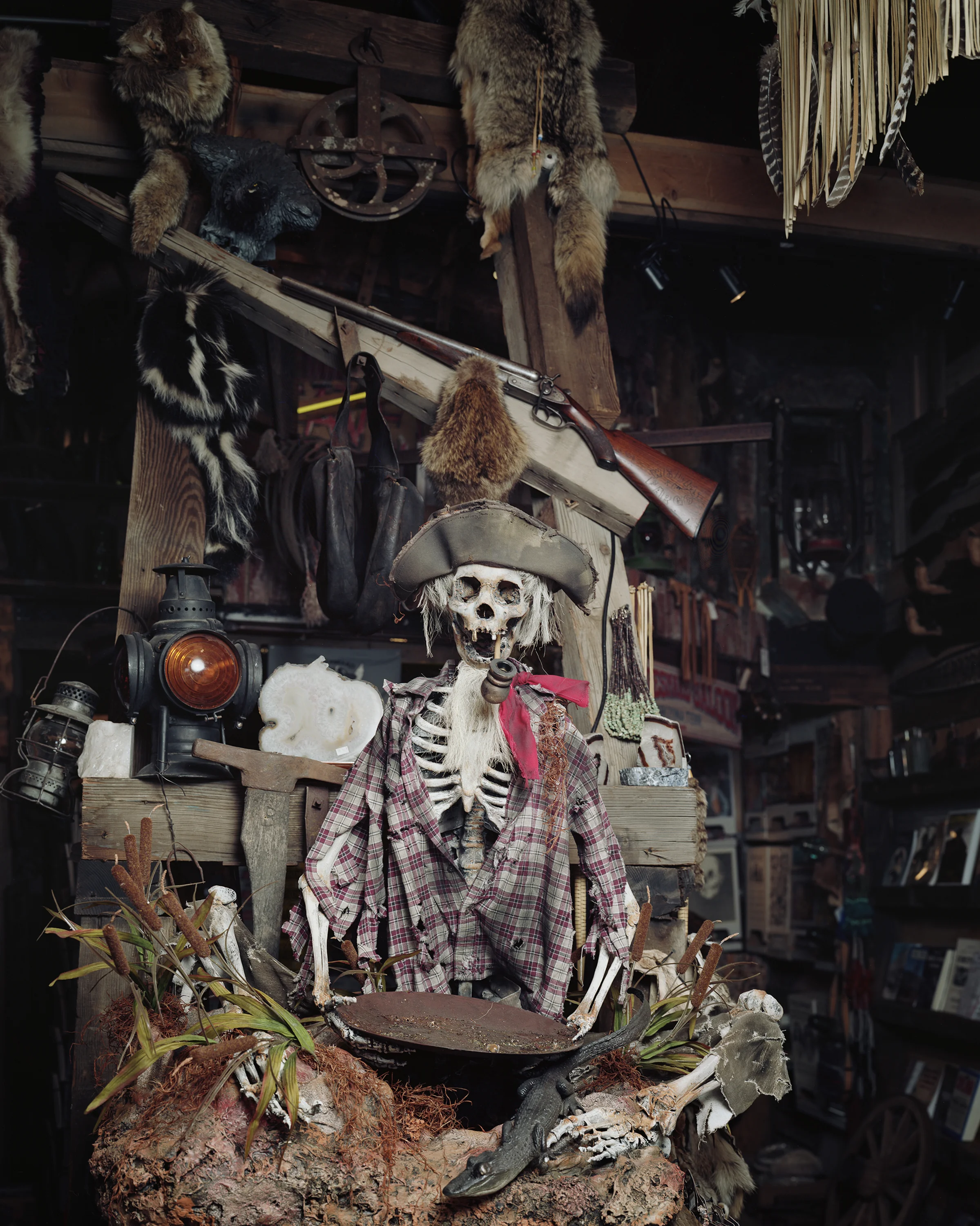 We_Do_Not_Skeleton.jpg