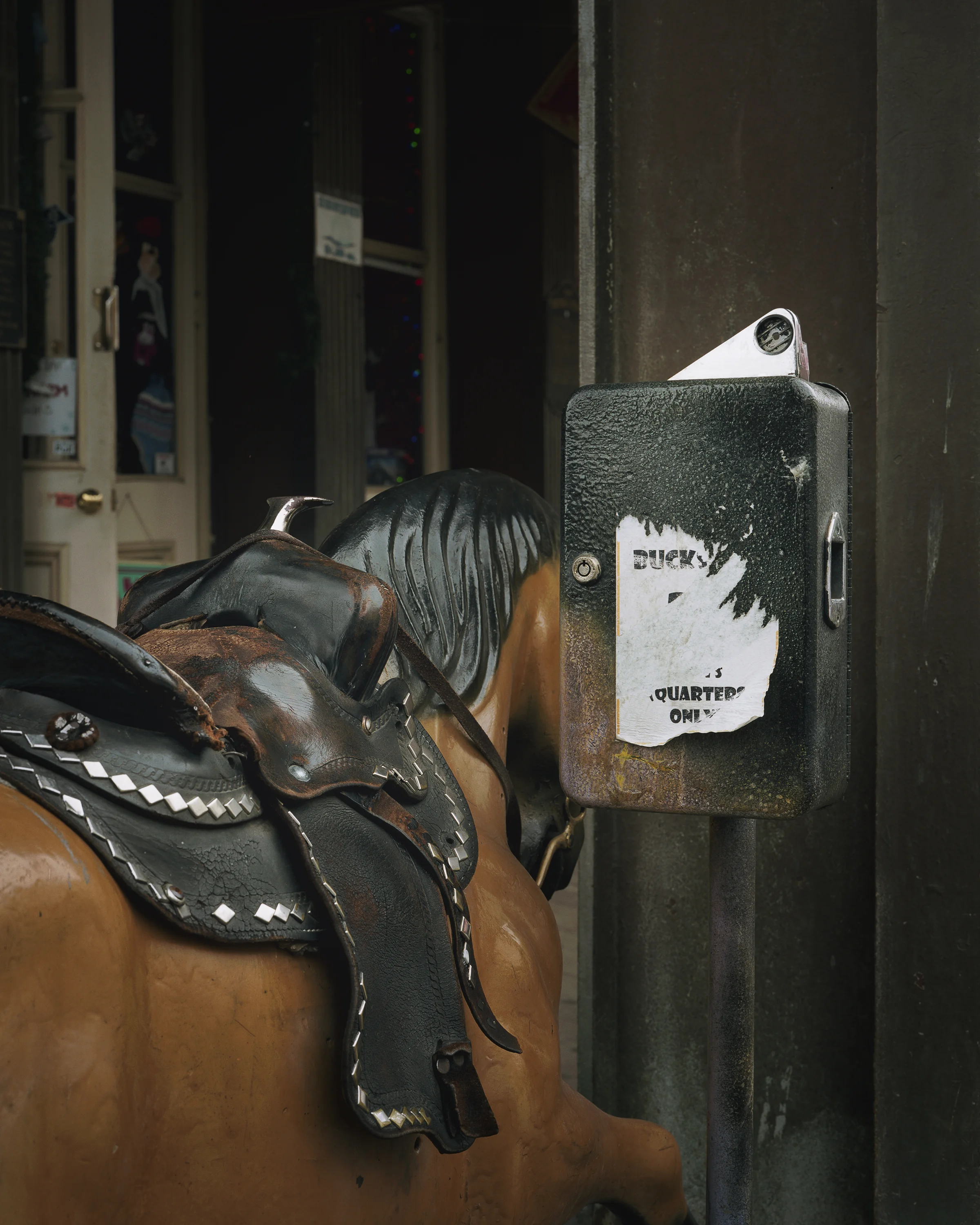 We_Do_Not_Horse_Ride.jpg
