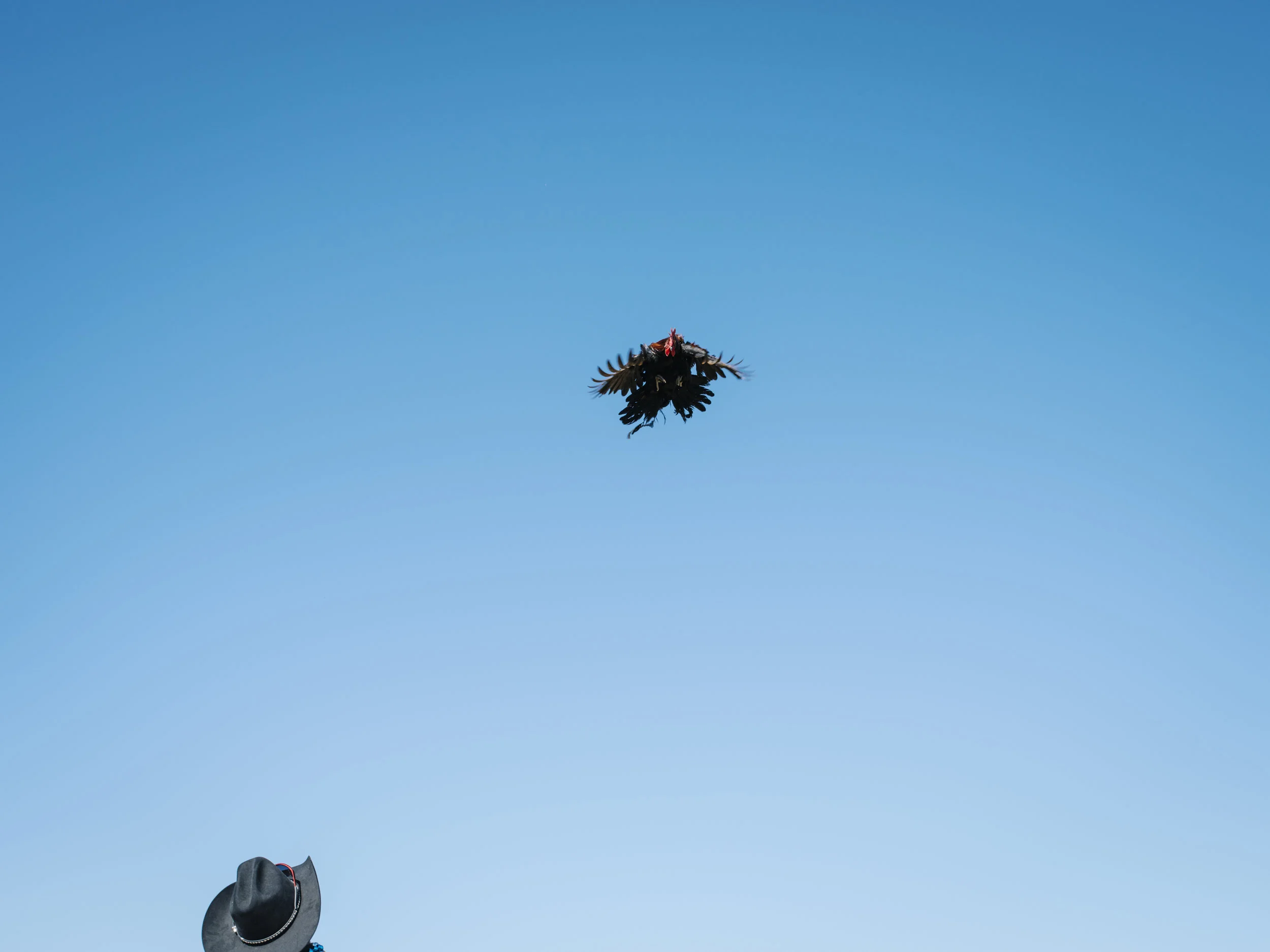 Courir_de_Mardi_Gras-13.jpg