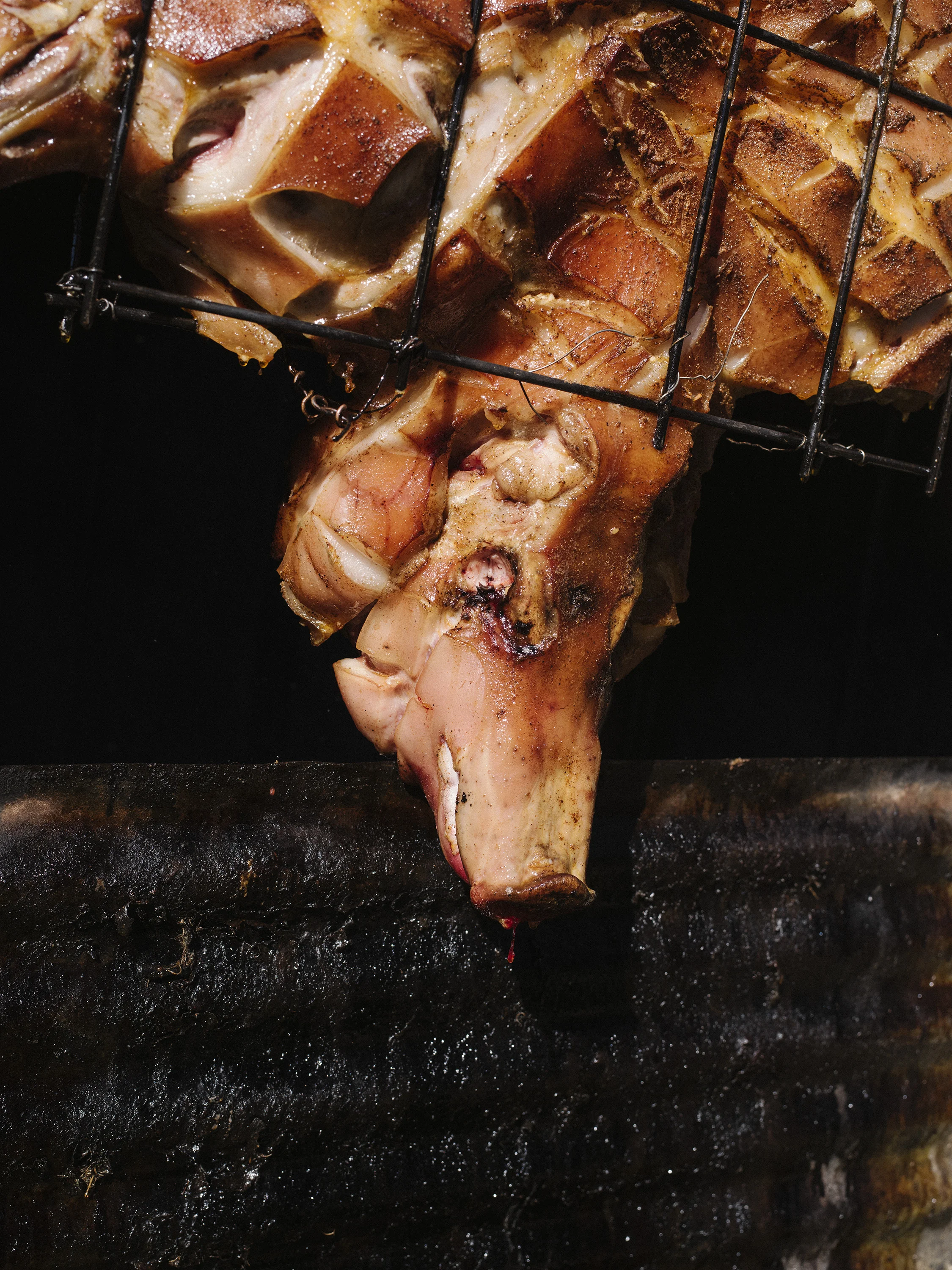 Mamou_Cochon_du_Lait-1.jpg