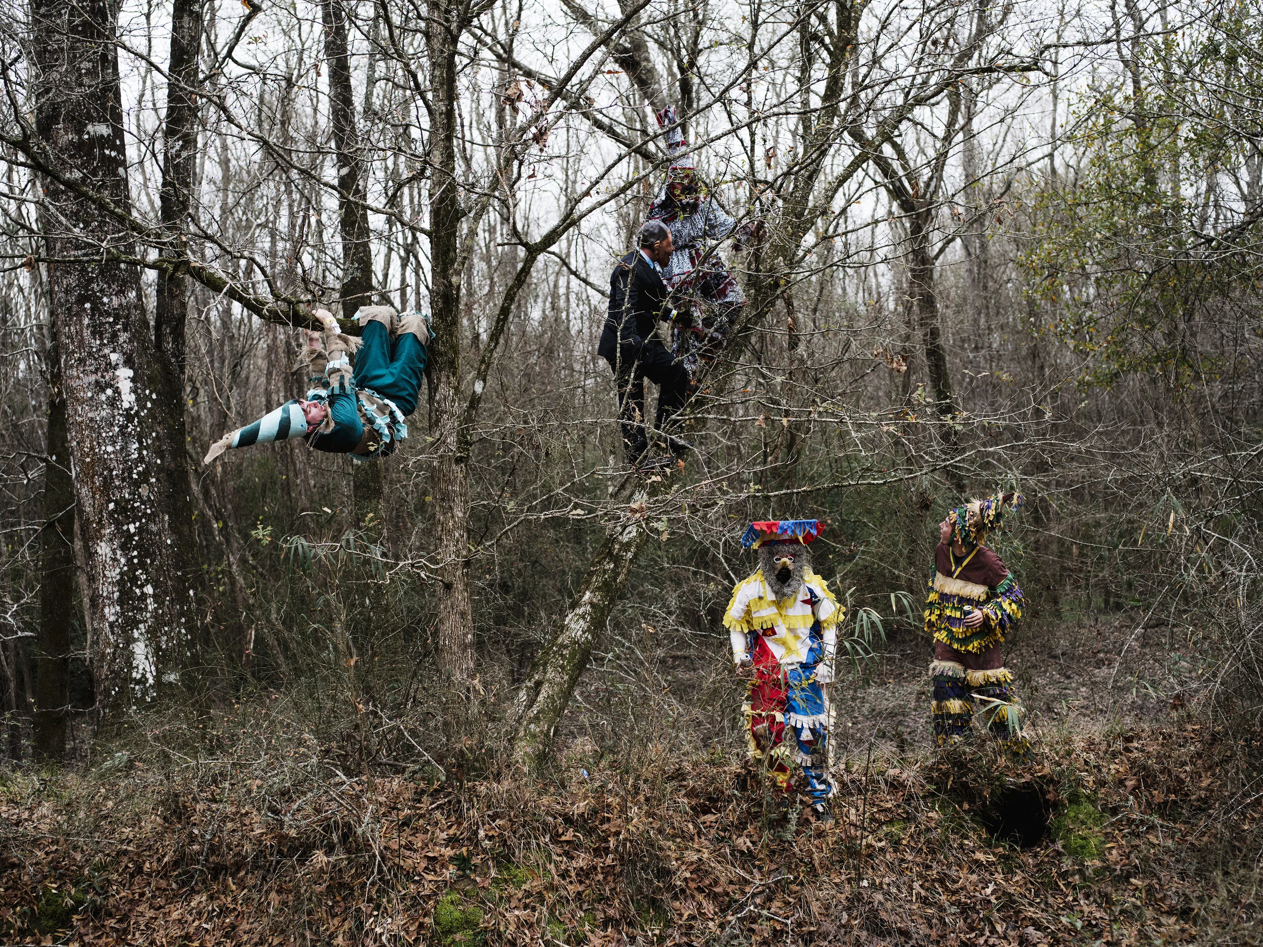 Elton_Group_Climbs_Trees-1.jpg