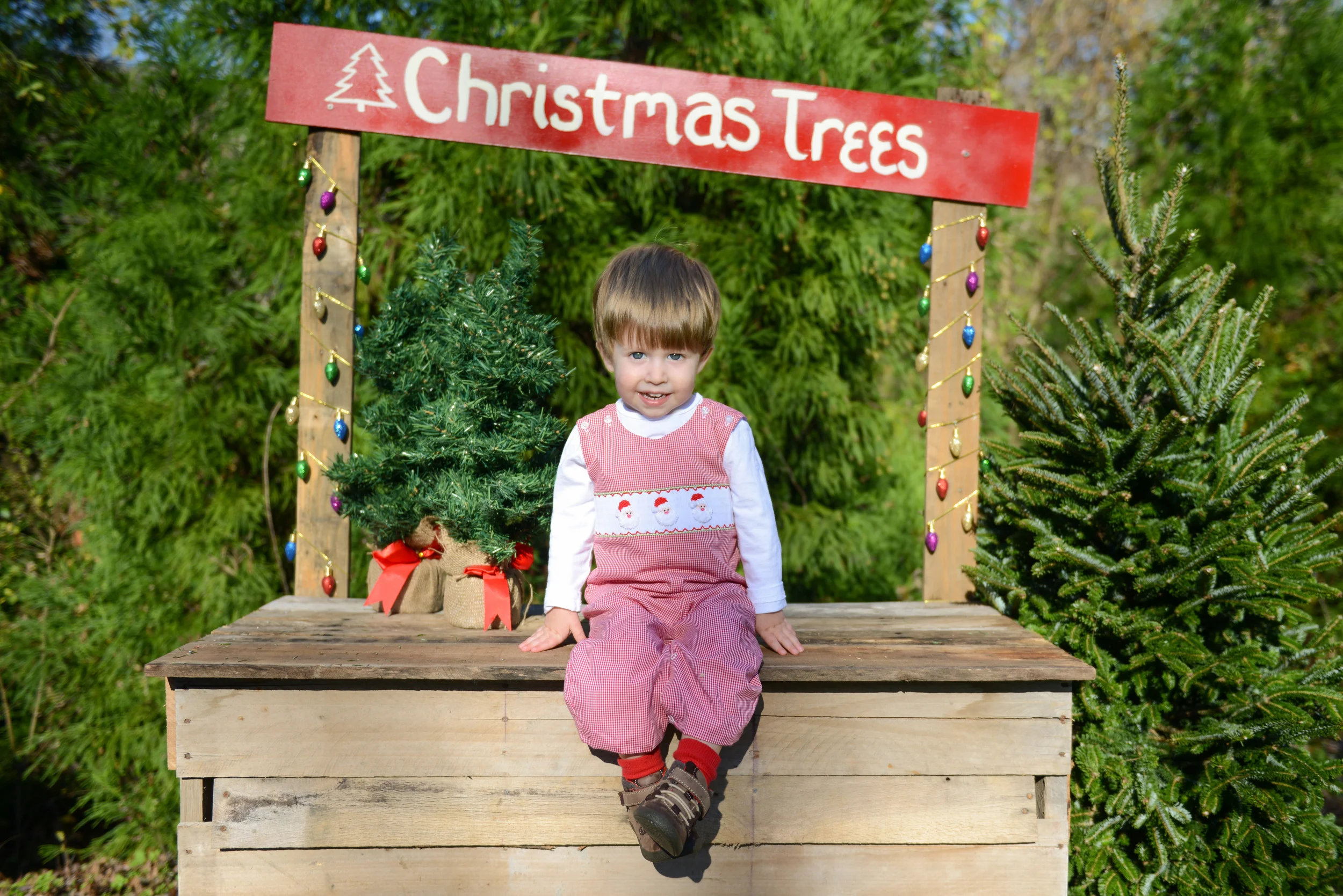 Christmas Mini-Sessions 