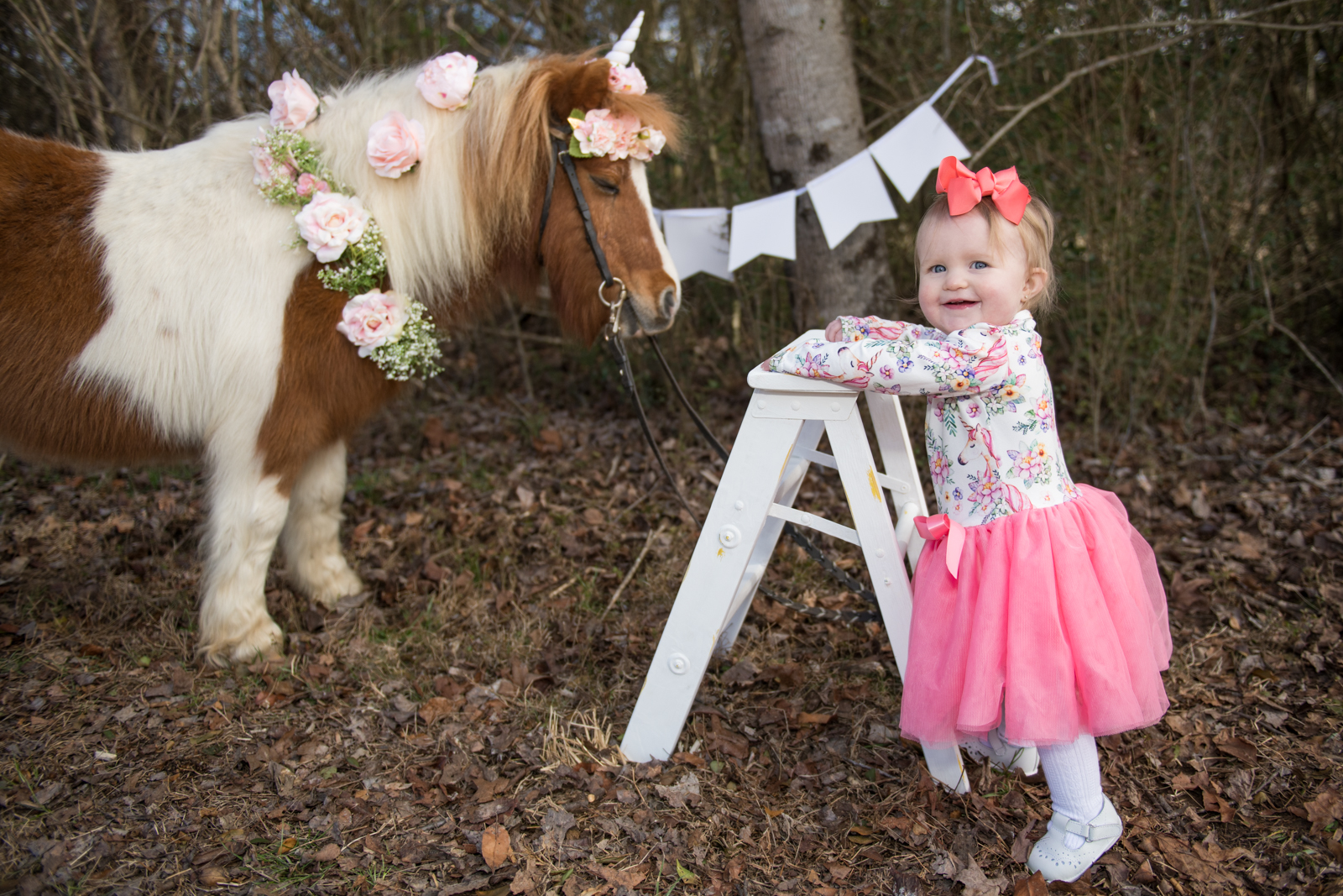 Sadie-1Year-3.jpg