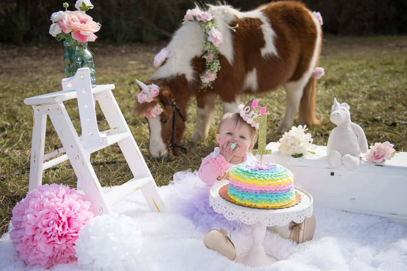Sadie-1Year-4.jpg