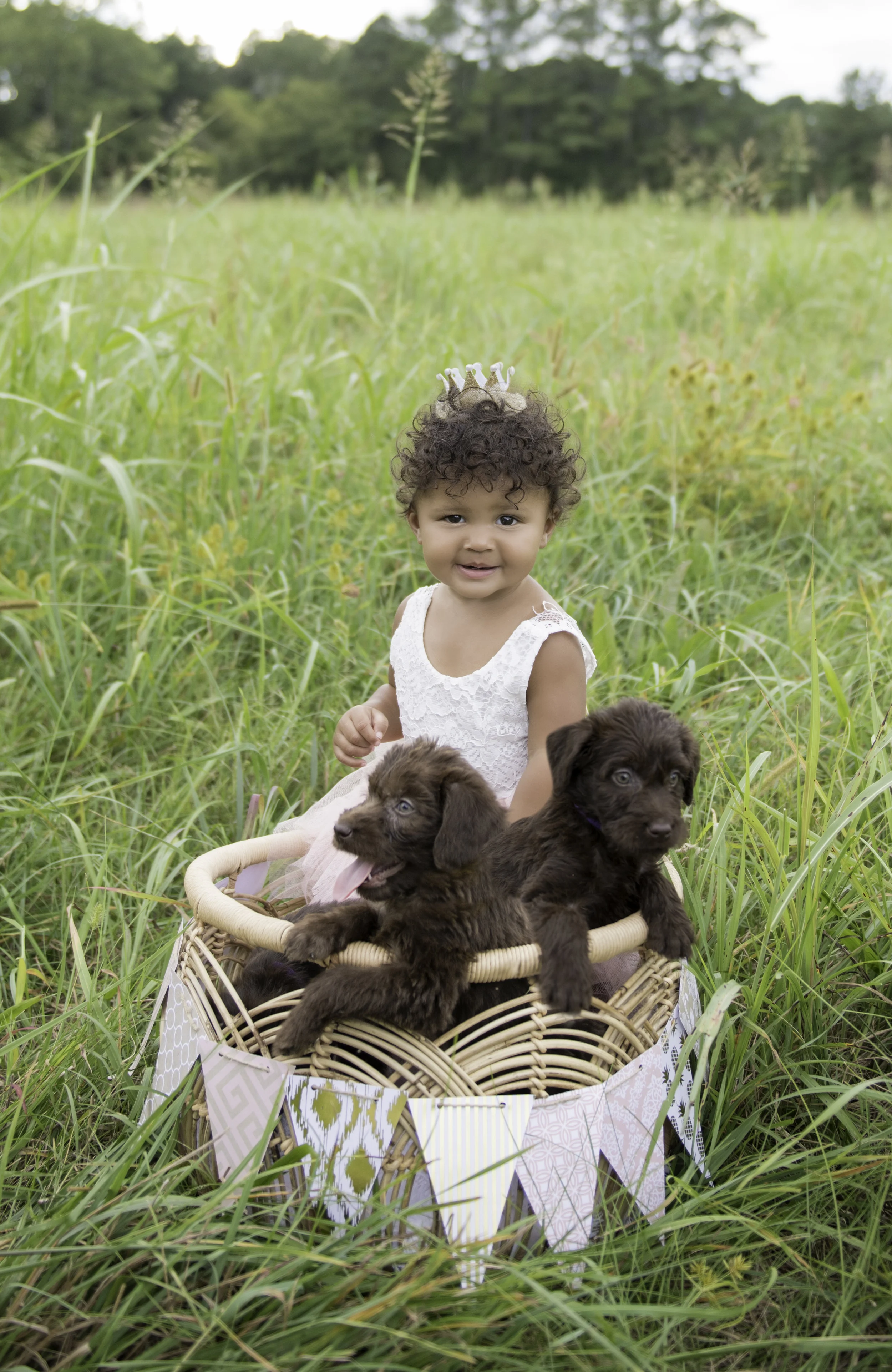 Puppy Princess for her 1st Birthday