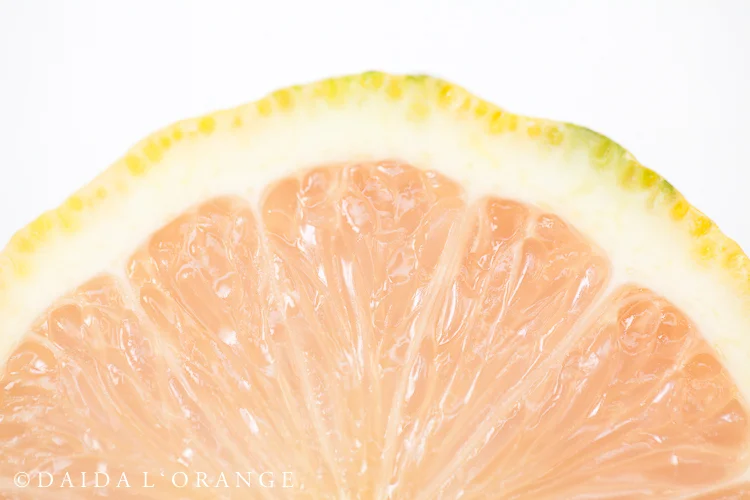 Variegated Pink Lemon